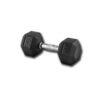 DUMBBELL 10KG (1 UNIT)
