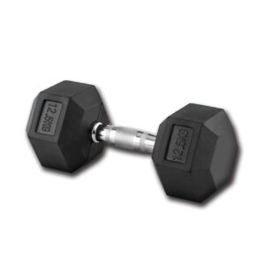 DUMBBELL 12.5KG (1 UNIT)