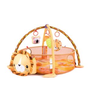 BABY PLAY MAT ACTIVITY GYM