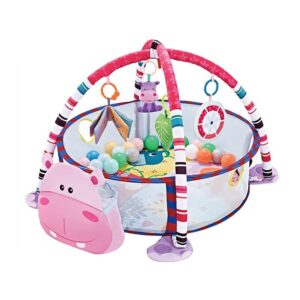 BABY PLAY MAT ACTIVITY GYM