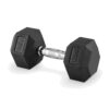 DUMBBELL 17.5KG (1 UNIT)