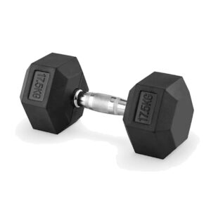 DUMBBELL 17.5KG (1 UNIT)