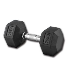 DUMBBELL 25KG (1 UNIT)