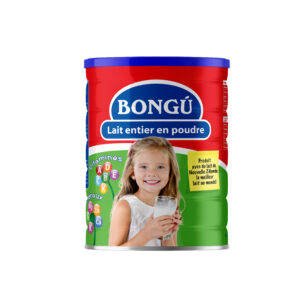 BONGU LAIT EN POUDRE 400GR