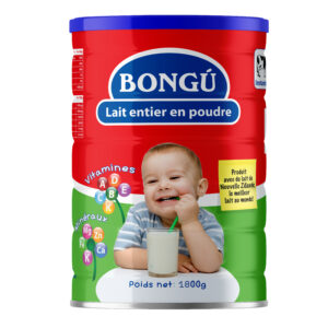 BONGU LAIT EN POUDRE 900GR