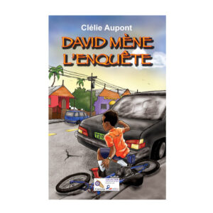 DAVID MENE L'ENQUETE..