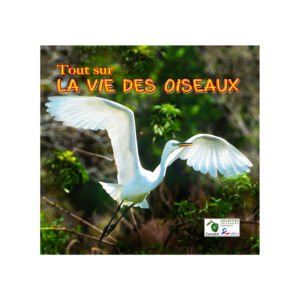 TOUT SUR LA VIE DES OISEAUX..