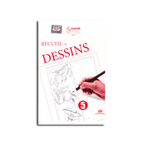 RECUEIL  DE DESSIN  5 FIC..