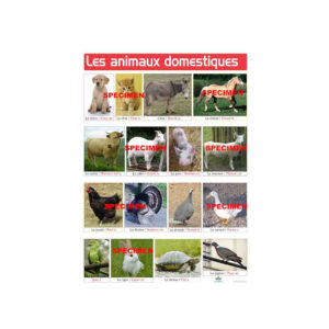 PLANCHE P ANIMAUX DOMESTIQUES..