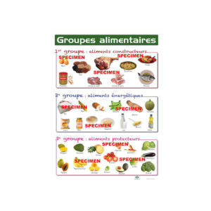 PLANCHE P GROUPES ALIMENTAIRES..