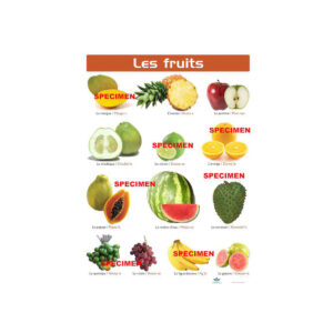 PLANCHE P LES FRUITS..