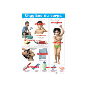 PLANCHE P HYGIENE  DU CORPS..