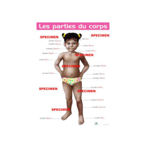 PLANCHE P LES PARTIES DU CORPS..