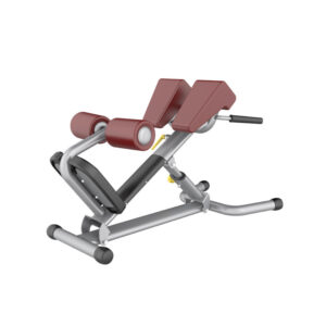 ADJUSTABLE ROMAN CHAIR GYM EQUIPMENT