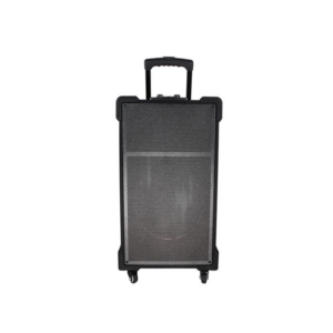 12 INCH PORTABLE WIRELESS KARAOKE CART SPEAKER WITH LED, FM, USB