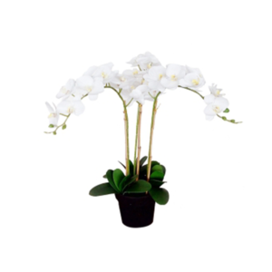 ARTIFICIAL FLOWER WHITE (24PCS)