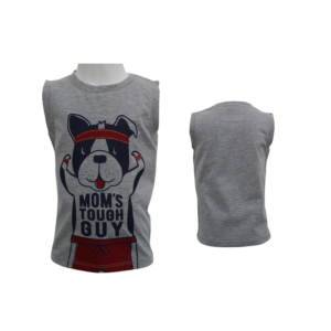 BOYS T-SHIRT, GREY 6-24M