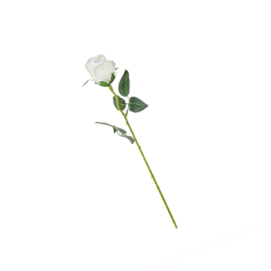 PLASTIC ROSE- WHITE