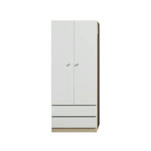 2 DOOR WARDROBE (1SET /3CTNS)